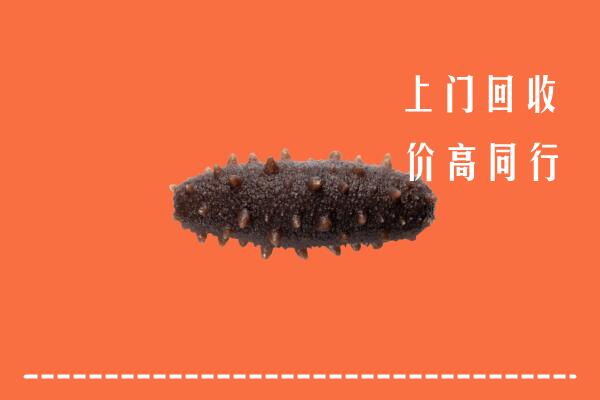 高价求购：济源市回收海参