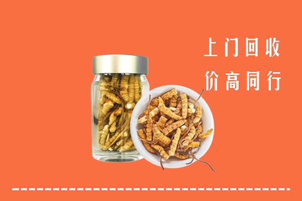 济源市回收冬虫夏草