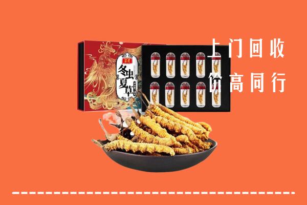 济源市回收虫草